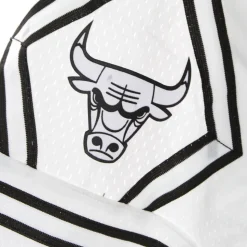 Chicago Bulls Basketball Shorts Swingman Hardwood Classics