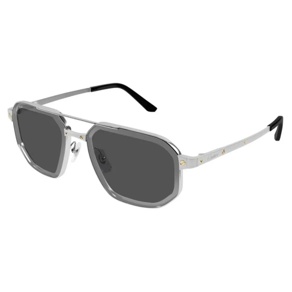 CT0462S 006 Solbriller