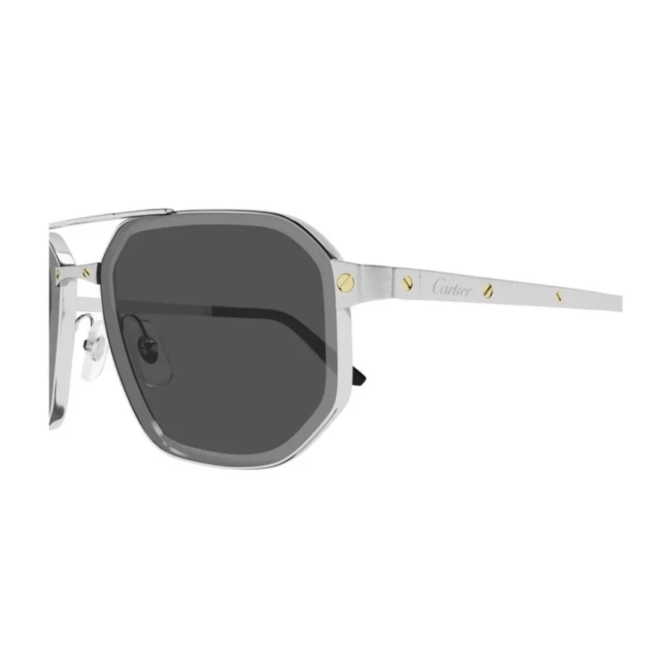 CT0462S 006 Solbriller