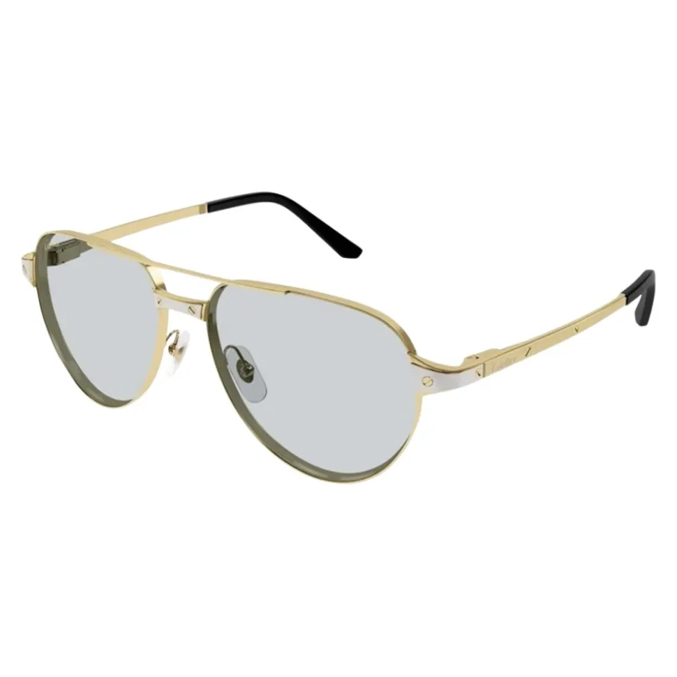 CT0425S Solbriller