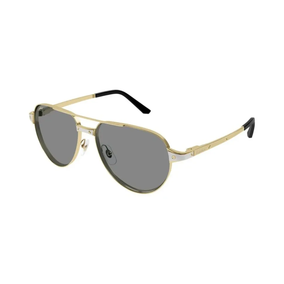 CT0425S Solbriller