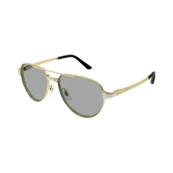 CT0425S Solbriller