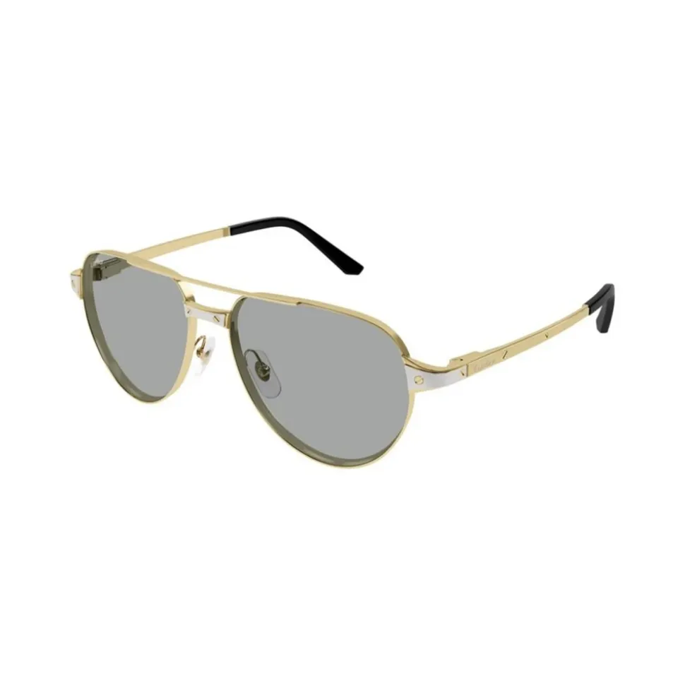 CT0425S Solbriller