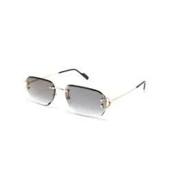 CT0468S 001 Sunglasses