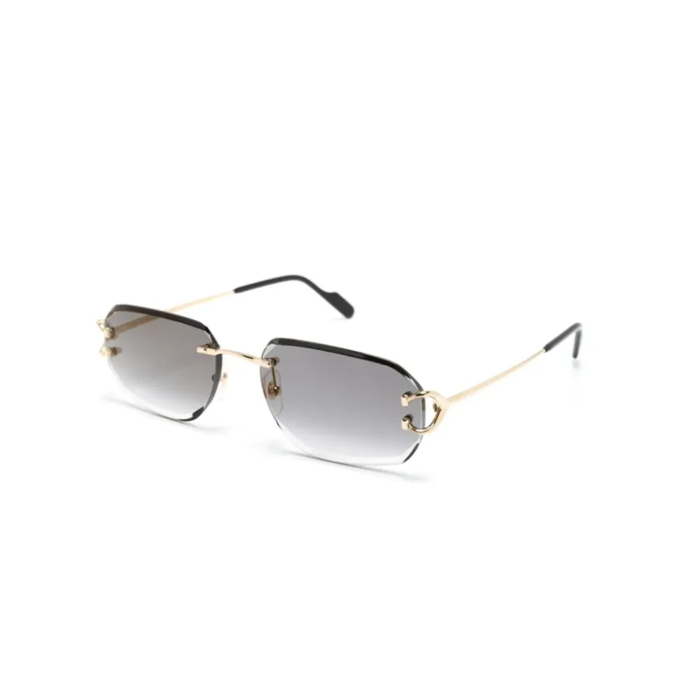 CT0468S 001 Sunglasses