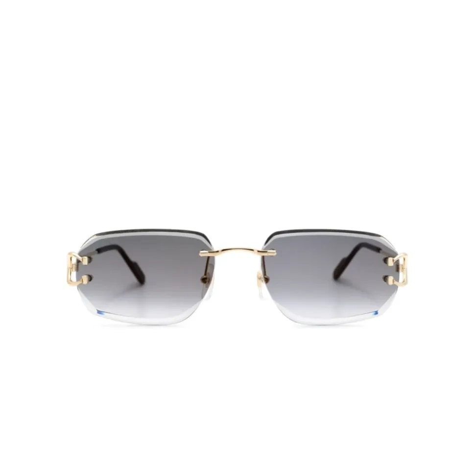 CT0468S 001 Sunglasses