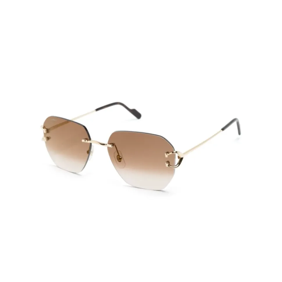 CT0394S 002 Sunglasses