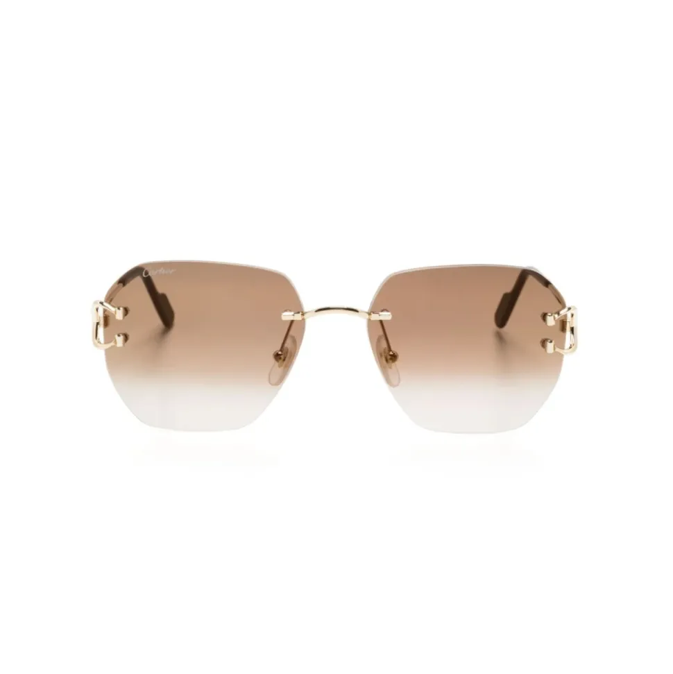 CT0394S 002 Sunglasses