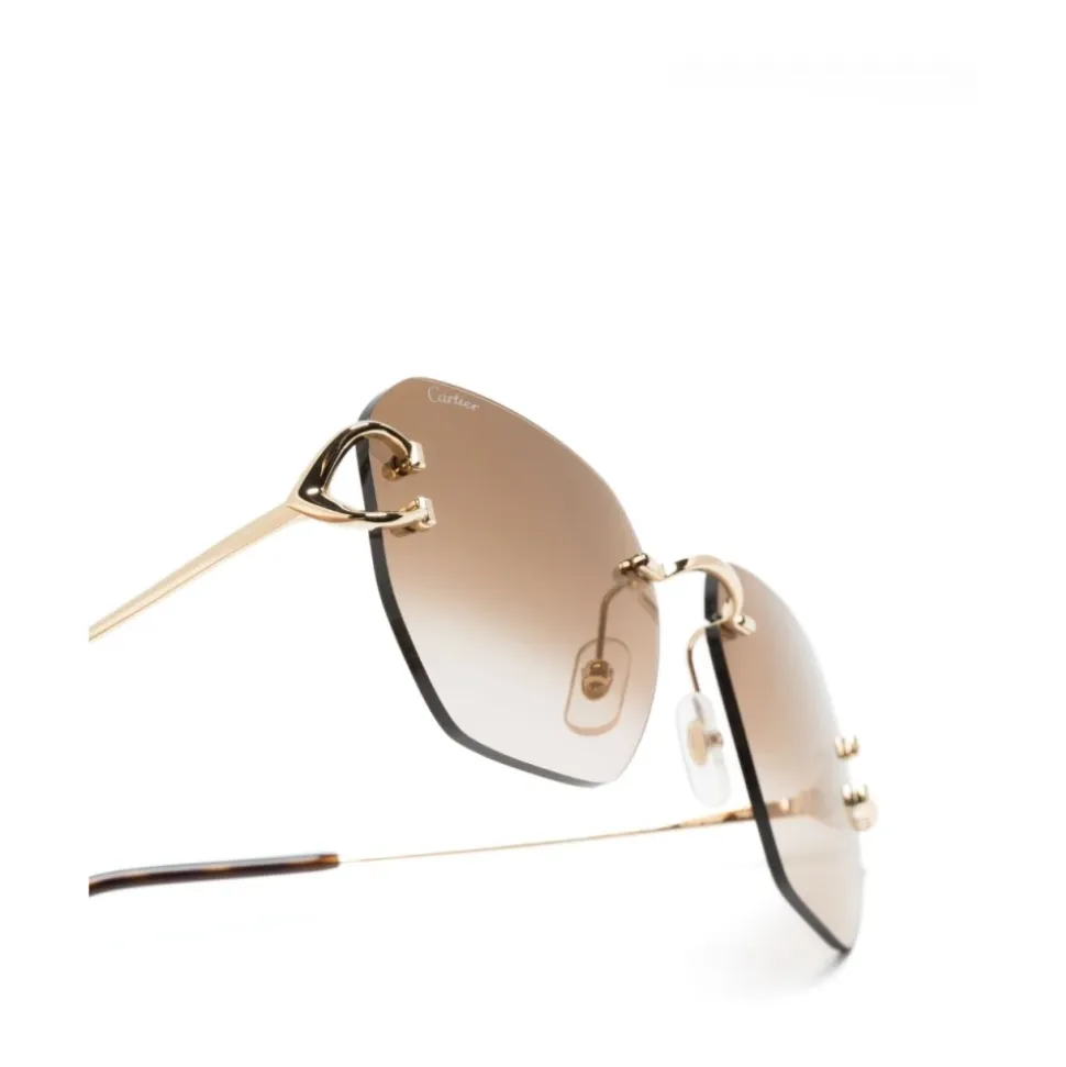 CT0394S 002 Sunglasses