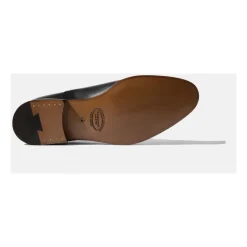 Federigo Oxfords