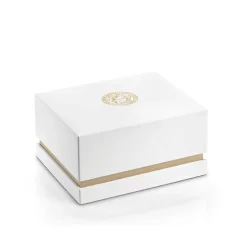 Icon Classic Quartz Rustfritt Stål Klokke