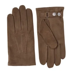 Robert Glove