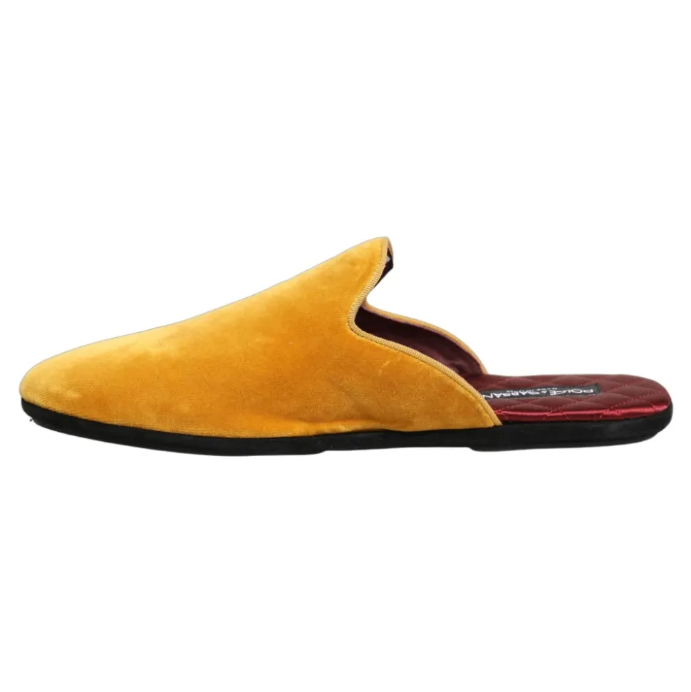 Slides