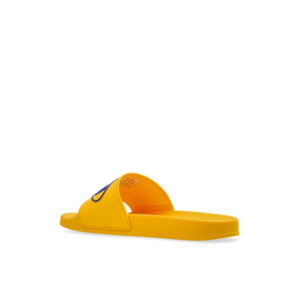 x Scholl
