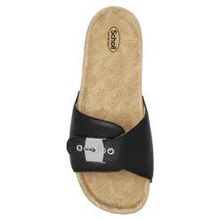 x Scholl